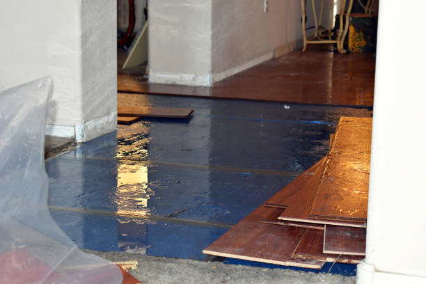 Professional Sewage Cleanup technician working in Pottersville, NJ